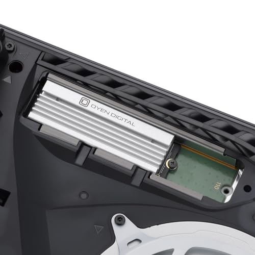 4TB NVMe PCIe TLC NAND SSD with Heatsink W4876