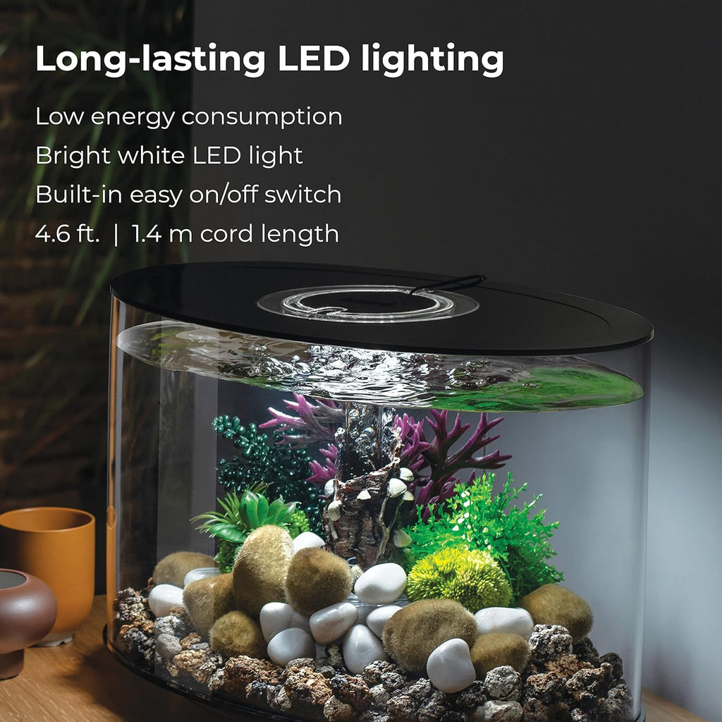 4-gallon Acrylic Aquarium with White LED Lights M860415