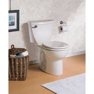 White Toilet C291