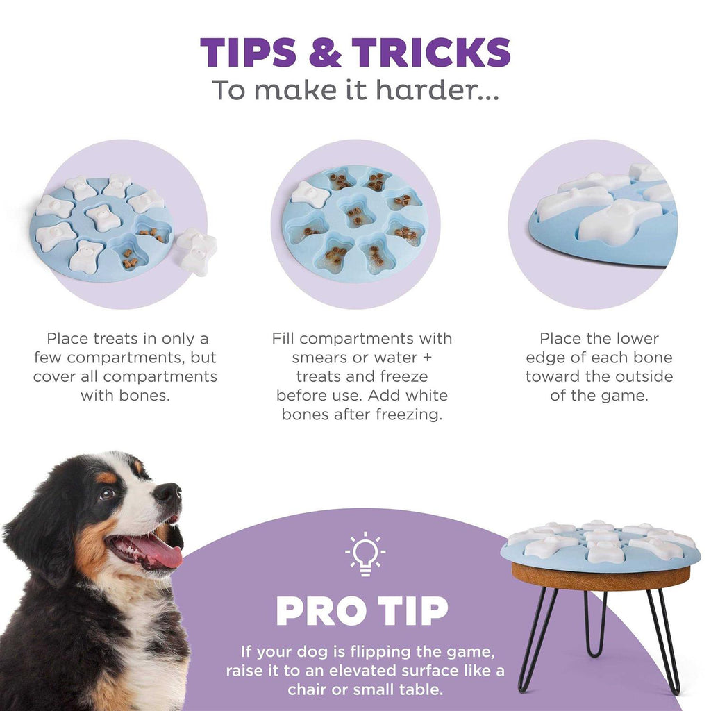 Blue Interactive Treat Puzzle Dog Toy V540094