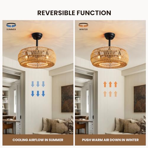 20" Caged Ceiling Fan with Lights Remote Control B7612