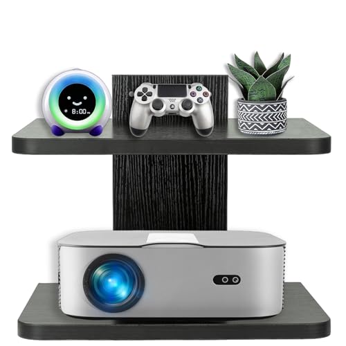 Floating Shelf (2 Shelf) X84067