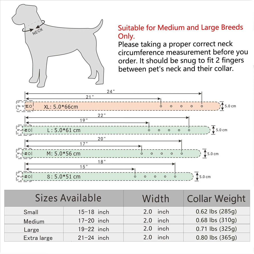 2 Inch Leather Dog Collar P4020