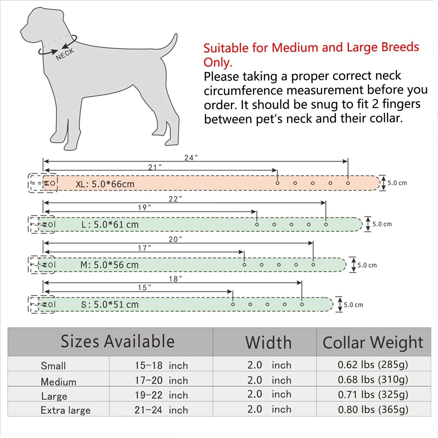 2 Inch Leather Dog Collar P4020