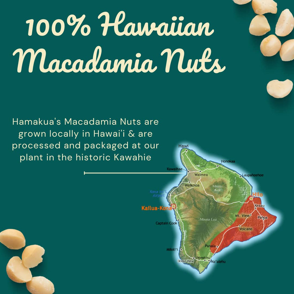 Macadamia Nut Coffee Brittle H267