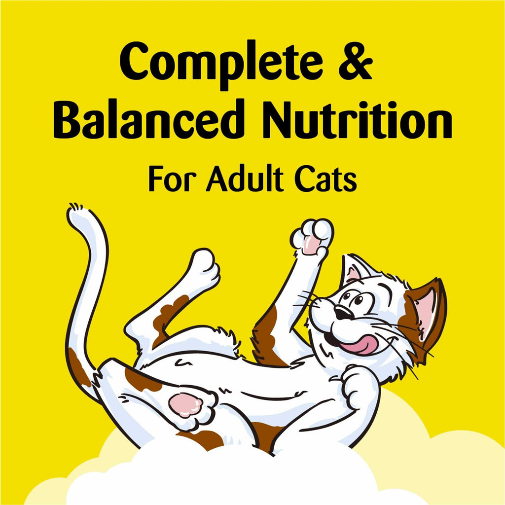 Treat Dispensing Cat Toy N715