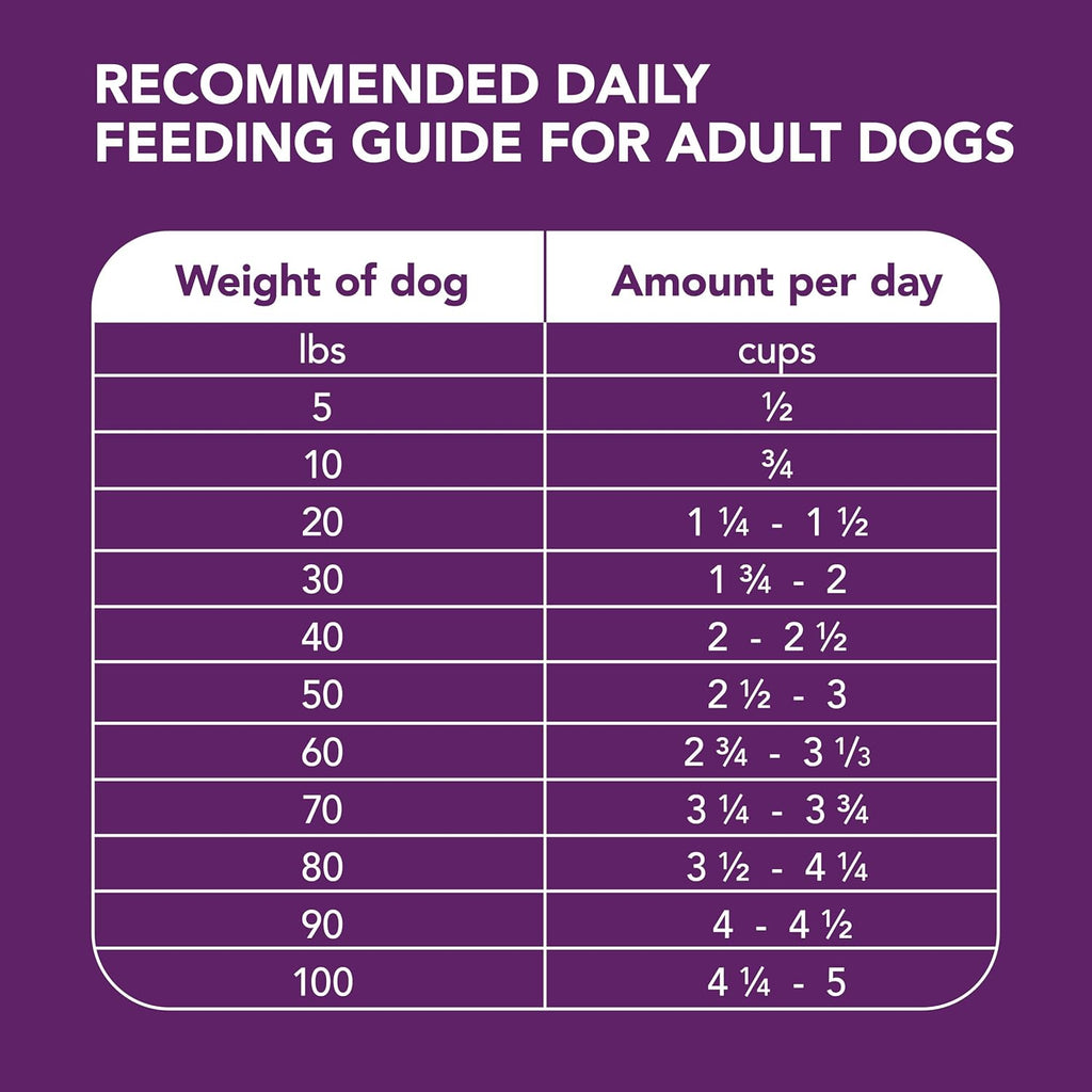 Chicken and Whole Grain Recipe Adult Dry Dog Food, 6 lb. Bag Y5814