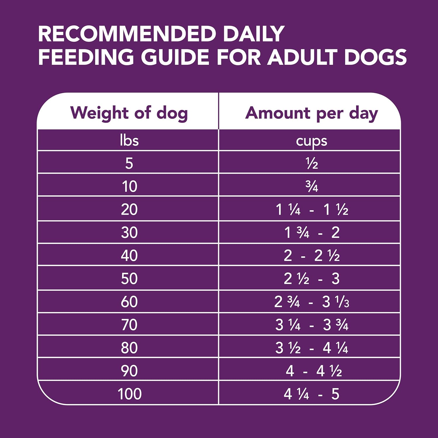 Chicken and Whole Grain Recipe Adult Dry Dog Food, 6 lb. Bag Y5814