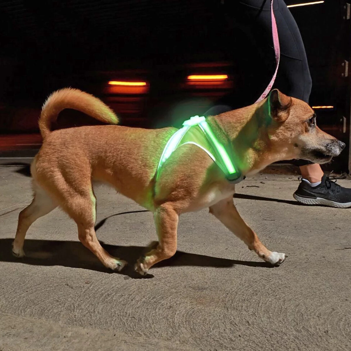Multicolor Reflective LED Dog Harness J279138