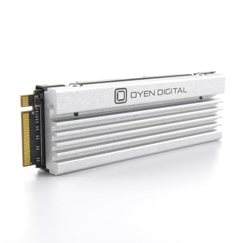 4TB NVMe PCIe TLC NAND SSD with Heatsink W4876