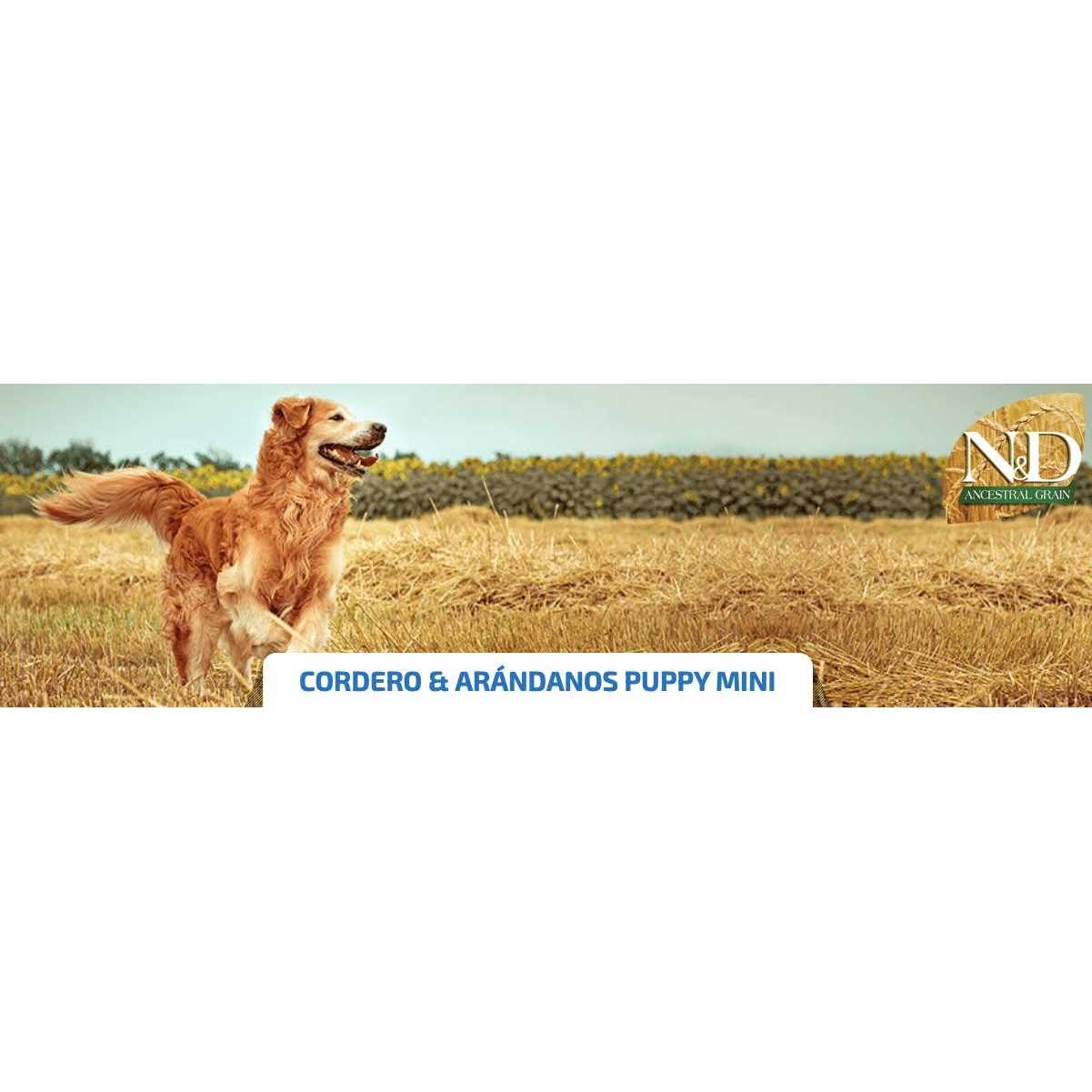 Chicken & Pomegranate Dry Dog Food H49952