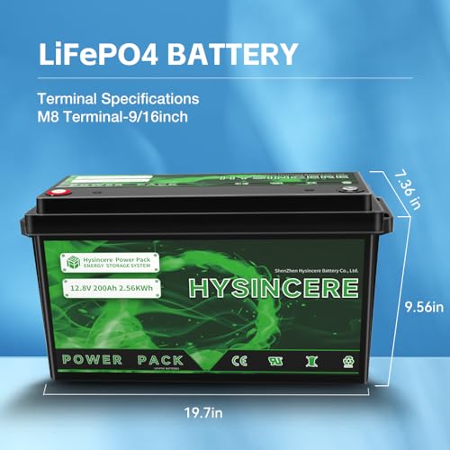 2Pack 12V 100Ah LiFePO4 Lithium Battery with 100A BMS P4673