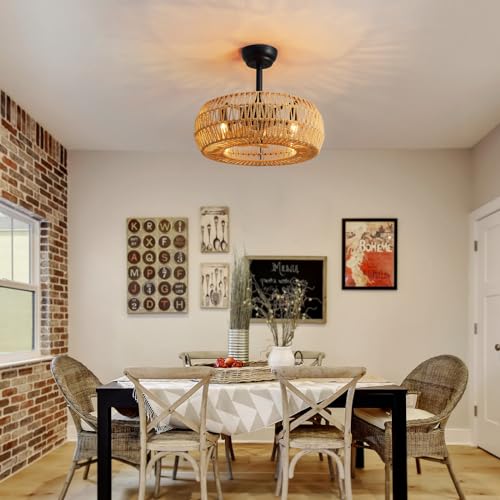 20" Caged Ceiling Fan with Lights Remote Control B7612
