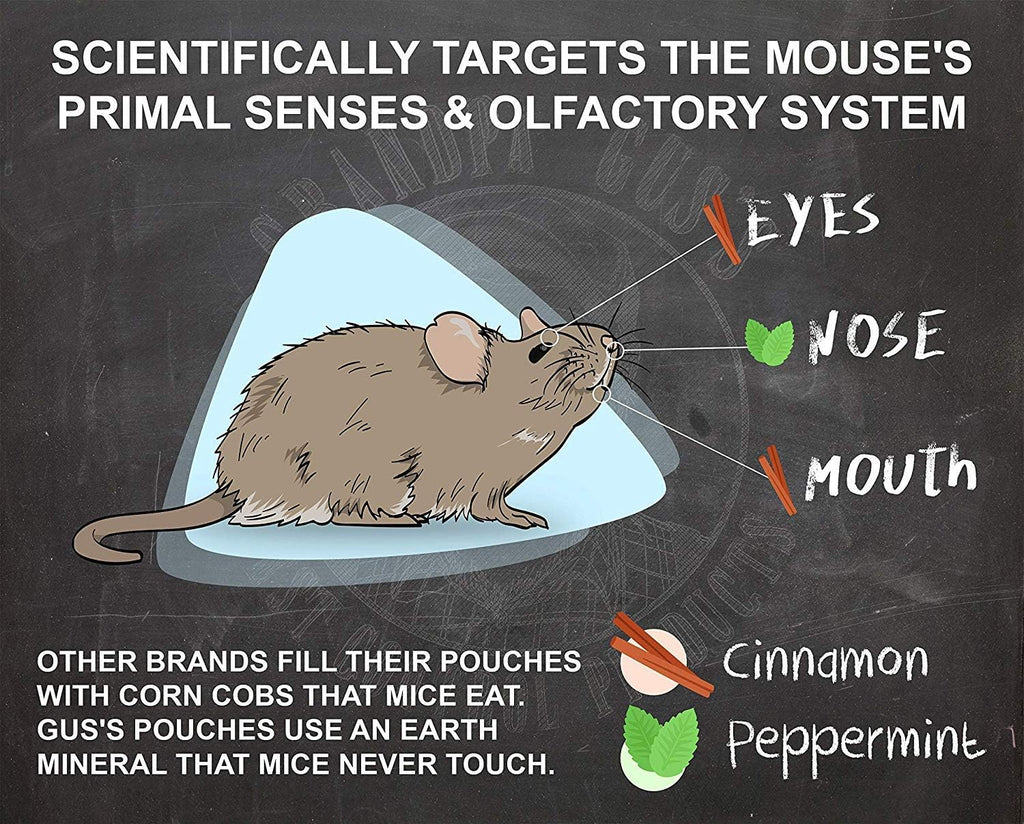 16 fl oz Peppermint & Cinnamon Oil Rodent Repellent Spray H656