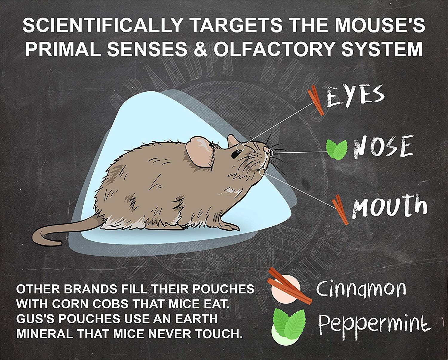 16 fl oz Peppermint & Cinnamon Oil Rodent Repellent Spray H656