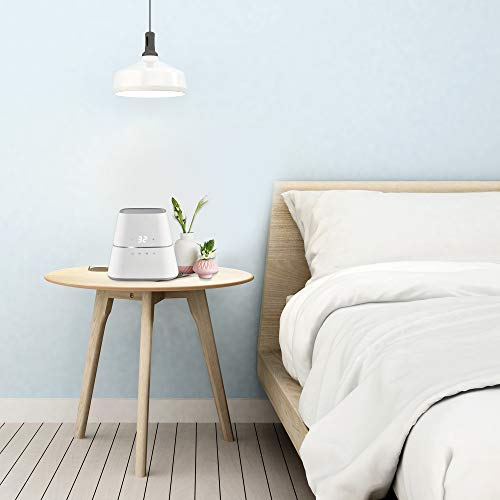 Queen Water Heated Mattress Pad M41251