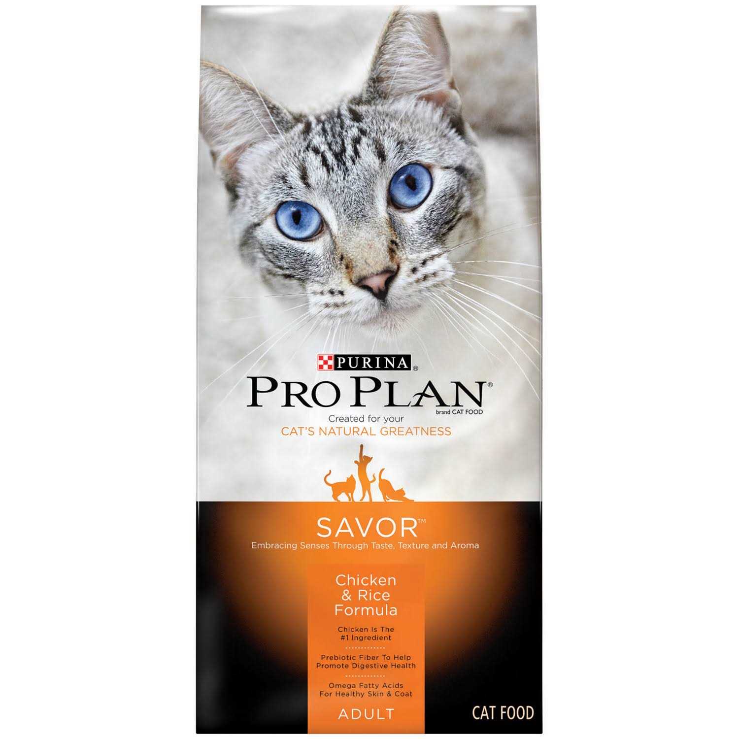 Adult Dry Cat Food A681