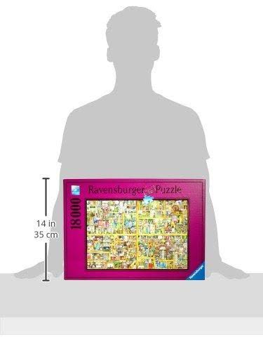 Magical Bookcase Puzzle V5490