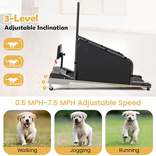 Black Pet Treadmill with Remote Control and 1.4'' Display Screen Y6825