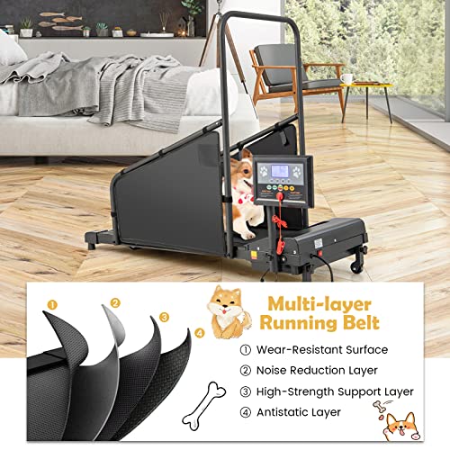 Black Pet Treadmill with Remote Control and 1.4'' Display Screen Y6825