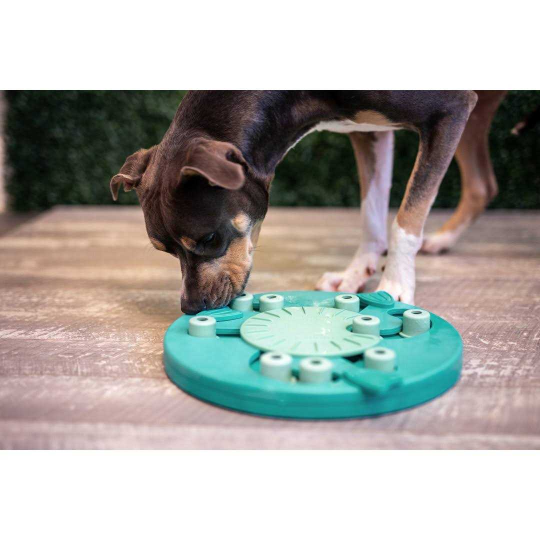 Interactive Puzzle Dog Toy R8784