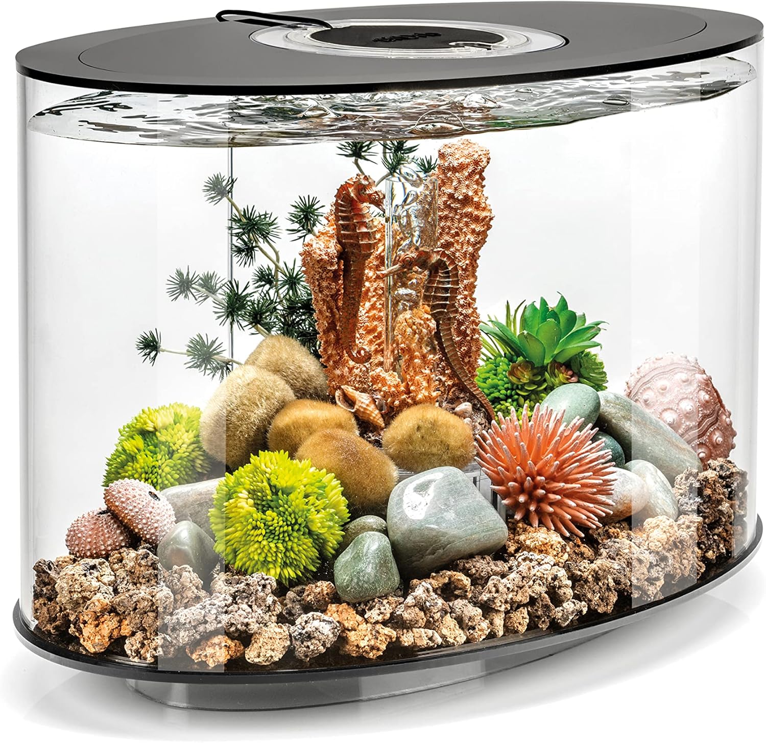 4-gallon Acrylic Aquarium with White LED Lights M860415