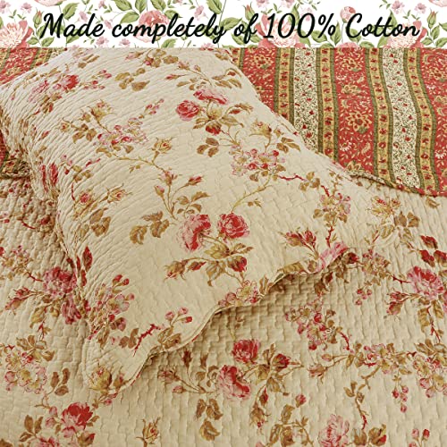 Vintage Floral Rose Chintz 3-Piece Khaki Pink Green Scalloped Cotton Reversable Queen Quilt Bedding Set B97894