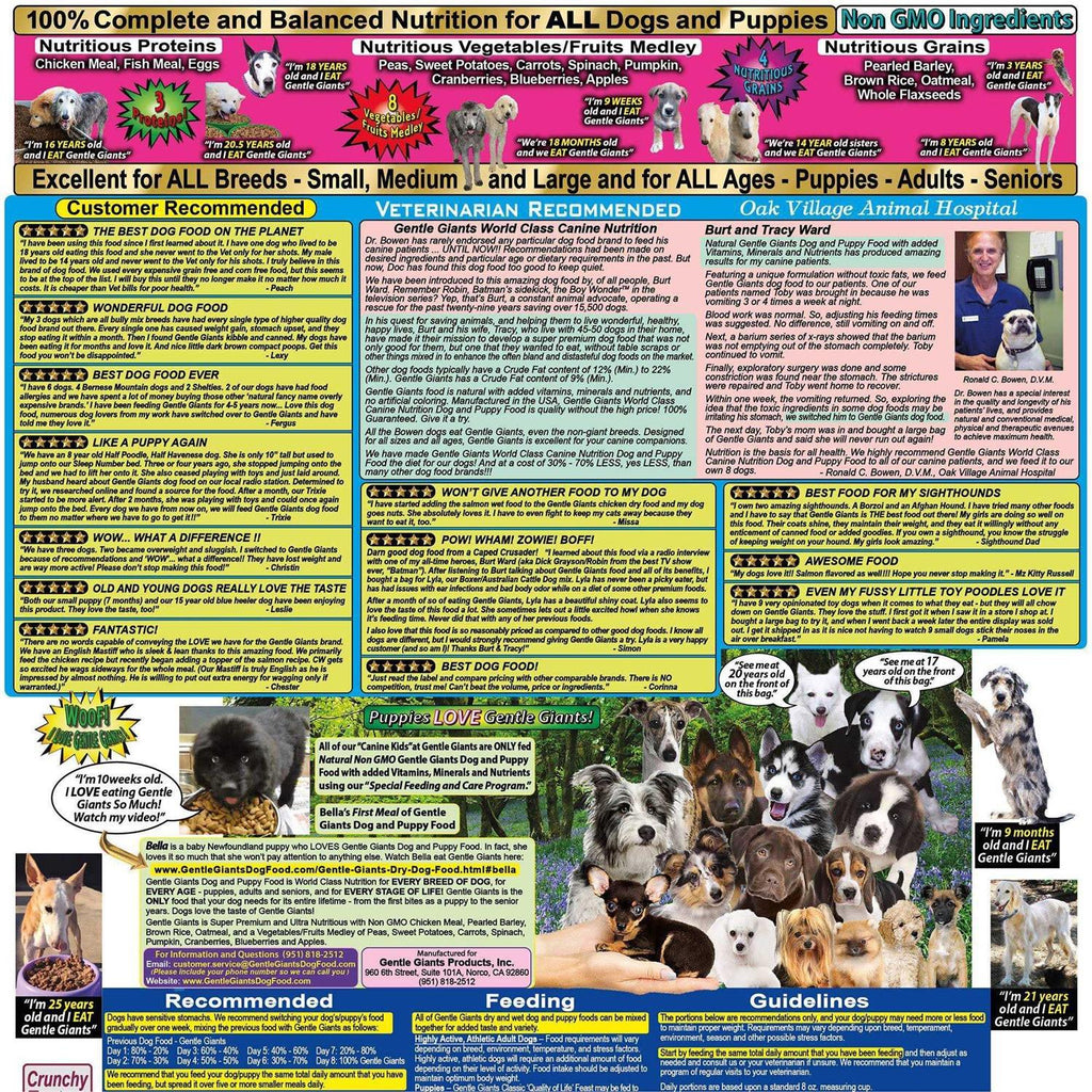 Chicken Dry Dog Food S34429