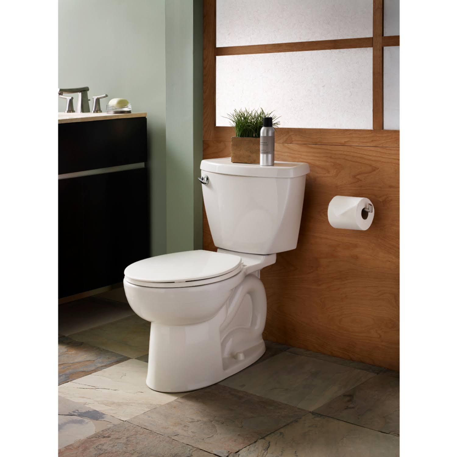 White Toilet C291