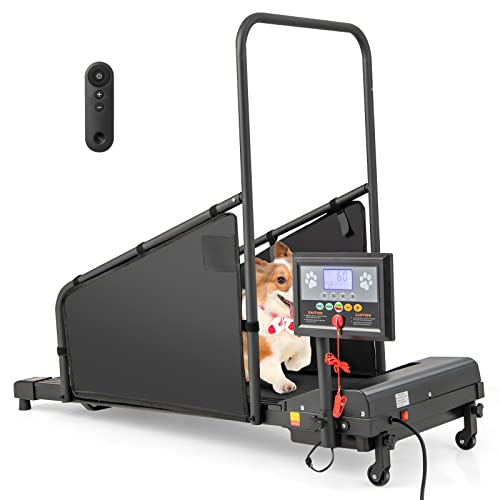 Black Pet Treadmill with Remote Control and 1.4'' Display Screen Y6825