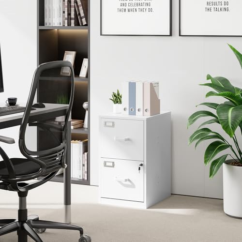2 Drawer Steel Vertical File Cabinet with Lock F259