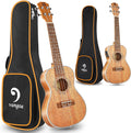 Mahogany 23 inch Concert Ukulele and Electric Acoustic Tenor Ukulele Bundle H142595