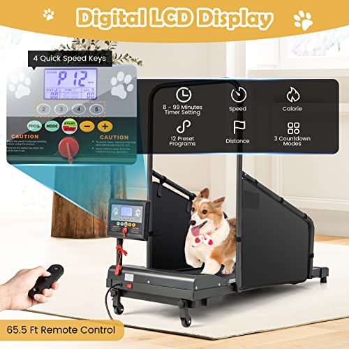 Black Pet Treadmill with Remote Control and 1.4'' Display Screen Y6825