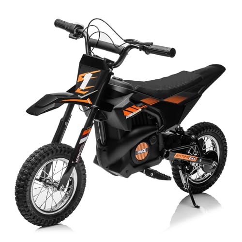 24V Electric Dirt Bike with Leather Seat and Rubber Tires B6742