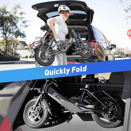 Folding Electric Bicycle with 350W Motor and 36V 7.5Ah Battery P32999