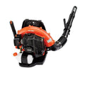 58.2 CC Gas-Powered Backpack Blower C89284