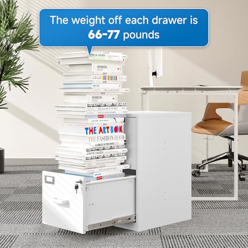 2 Drawer Steel Vertical File Cabinet with Lock F259