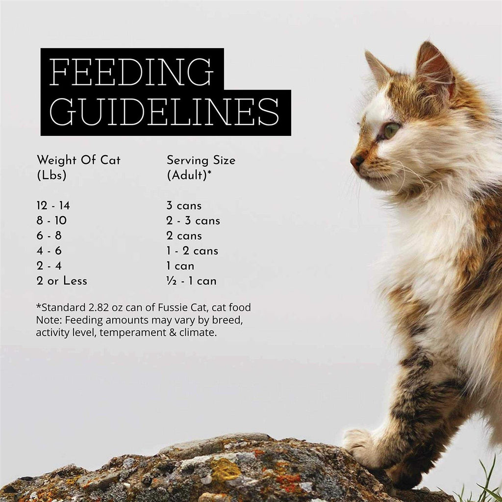 Chicken Gravy Cat Food P55221