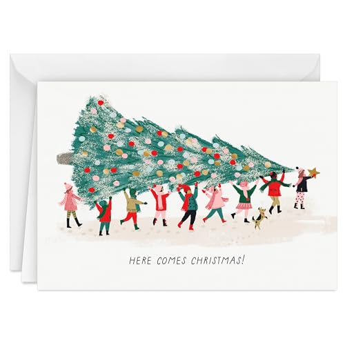 20 Christmas Cards and 20 Envelopes M924372