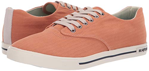 Men's Plimsoll Sneaker A9950