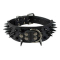 2 Inch Leather Dog Collar P4020