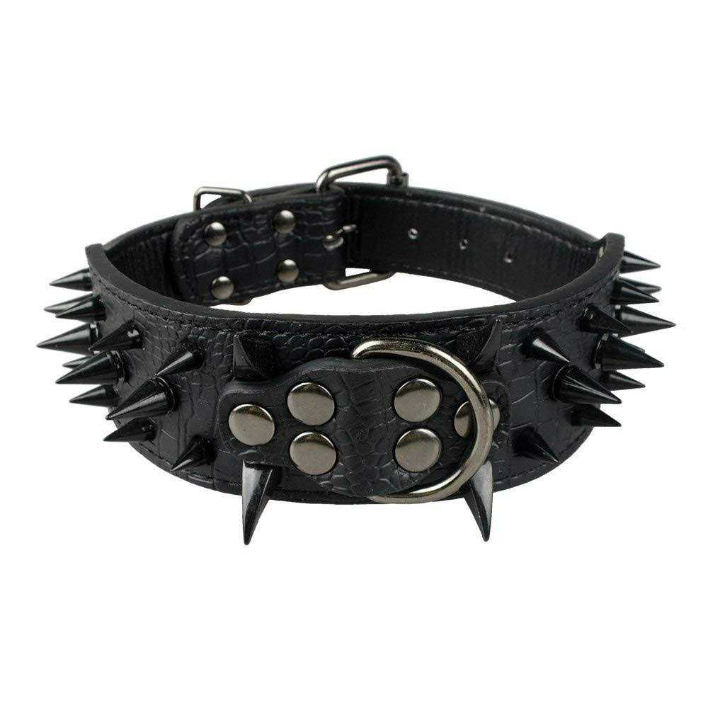 2 Inch Leather Dog Collar P4020