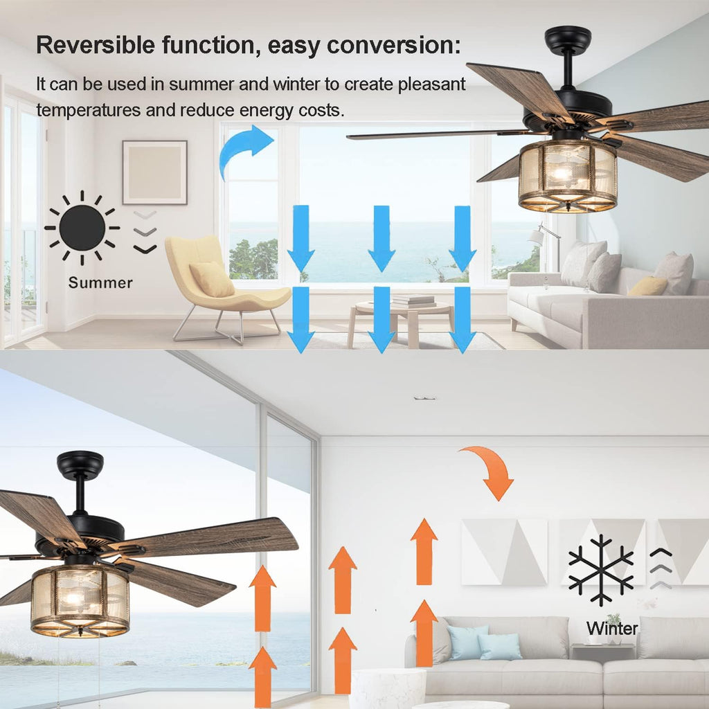 Matte Black Caged Ceiling Fan with Lights Remote Control I867