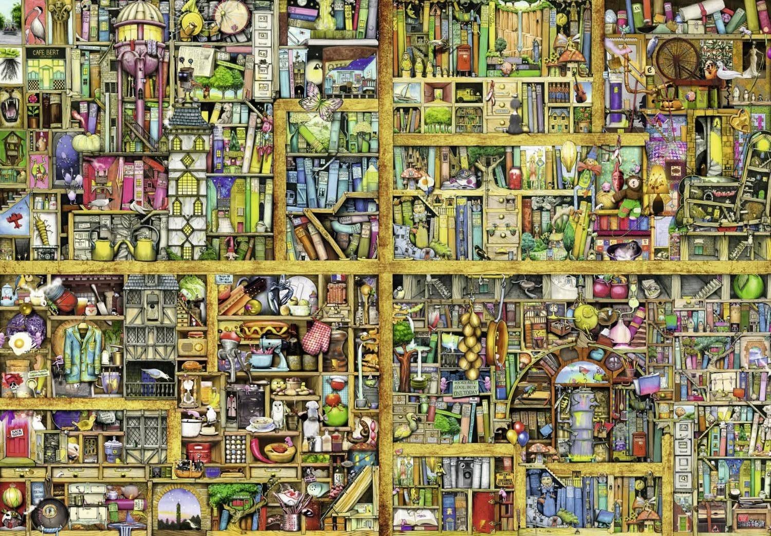 Magical Bookcase Puzzle V5490